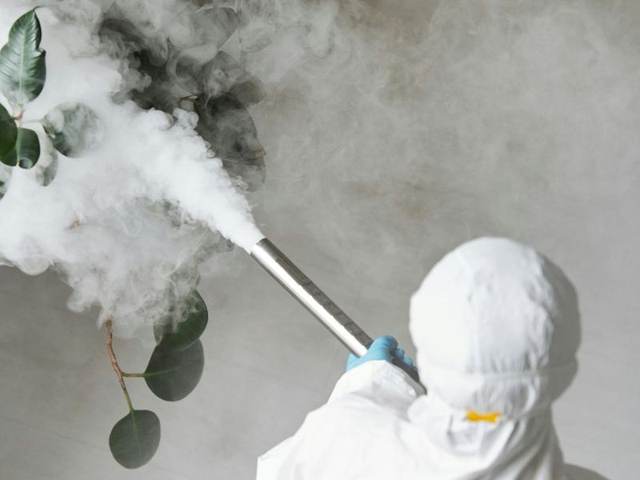Pest Eradication